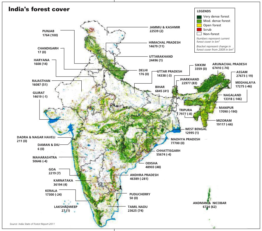 india22 En la India se plantaron 50 millones de árboles en un día - el objetivo final es alcanzar un 33% de superficie boscosa.