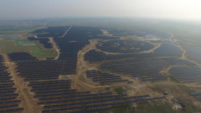 pandapaneles11-1 Con forma de panda China construye planta de energía solar