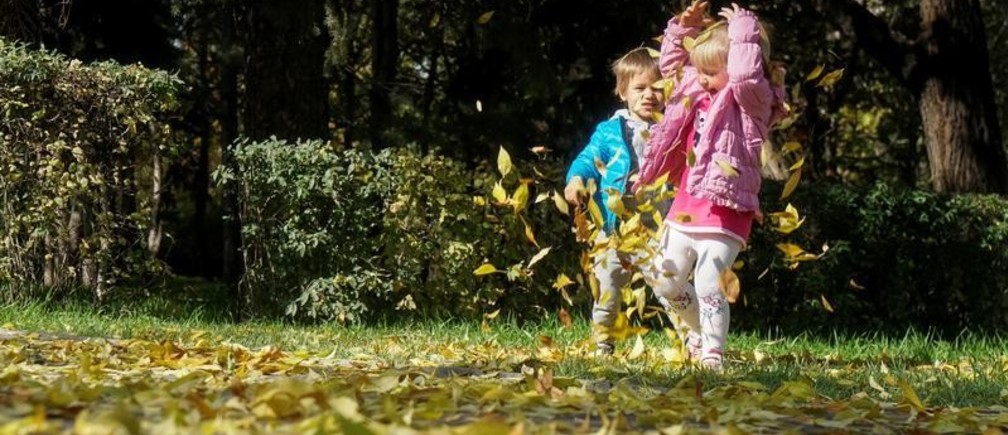 Crecer cerca de espacios verdes mejora el desarrollo cerebral de los niños