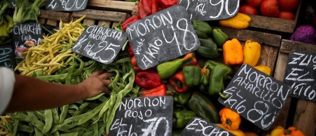 Alimentos y cambio climático: por qué comer solo productos de temporada