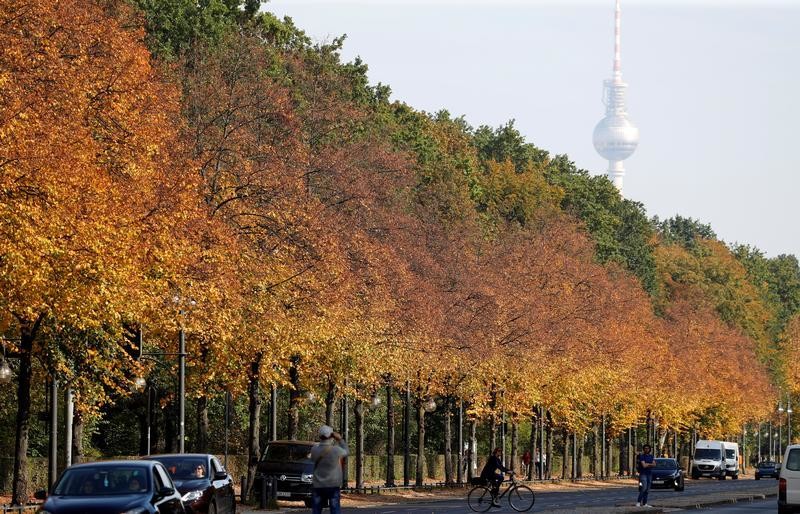 Más-árboles-reducen-las-muertes-prematuras-en-las-ciudades1 Más árboles reducen las muertes prematuras en las ciudades