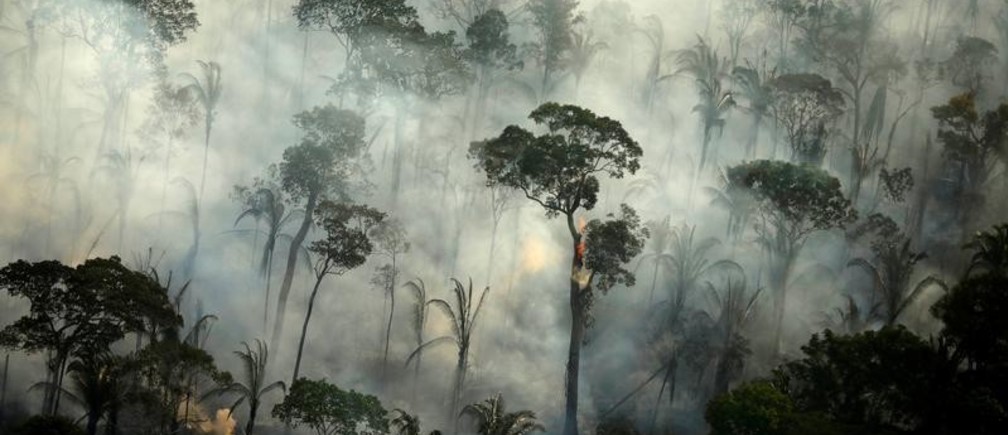 Los-bosques-tropicales-ya-no-pueden-con-tanto-CO2 Los bosques tropicales ya no pueden con tanto CO2