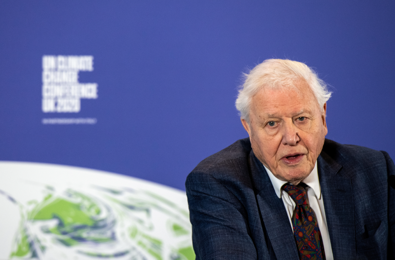 David Attenborough lidera llamado a inviertir 500.000 mln dlrs al año para proteger a la naturaleza