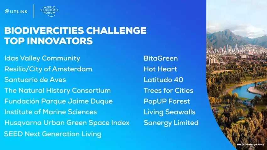 15-innovaciones-estan-devolviendo-la-naturaleza-a-nuestras-ciudades 15 innovaciones están devolviendo la naturaleza a nuestras ciudades